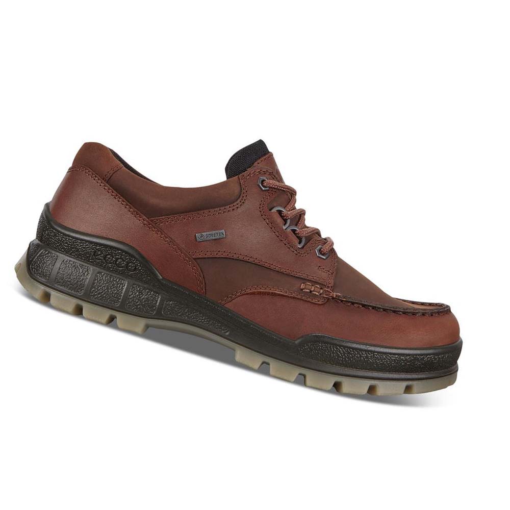 Ecco Track 25 Low Hiking & Trail Herr Vinröda | SE 572DFM